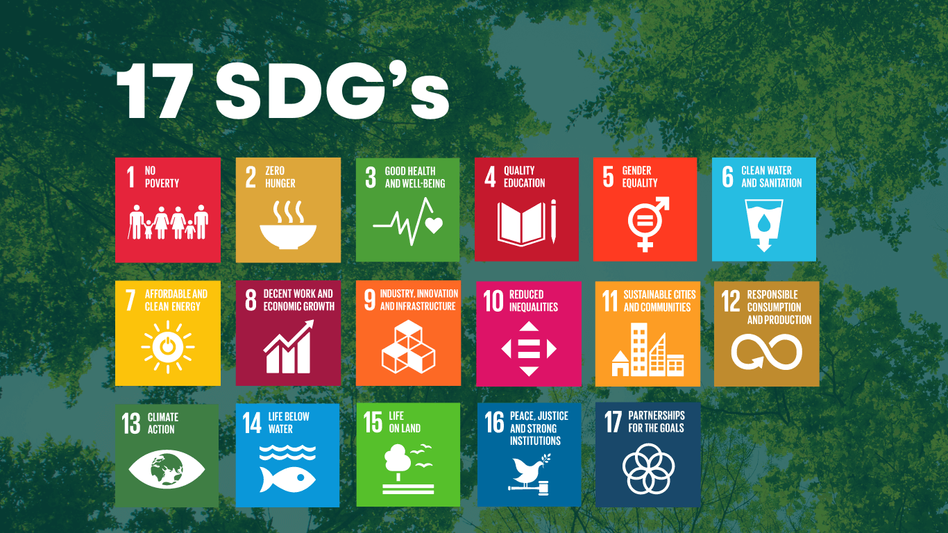 17 SDGS_Agenda 2030