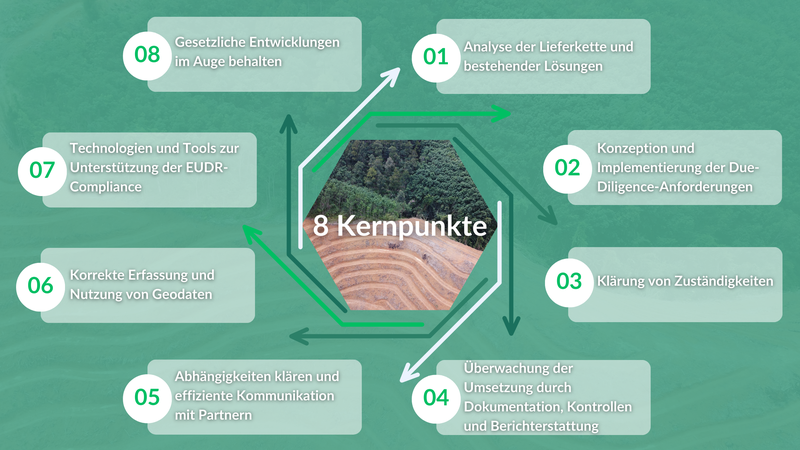 8 Kernpunkte zur EU Deforestation Regulation