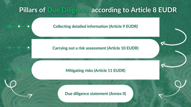 EUDR_Due Diligence