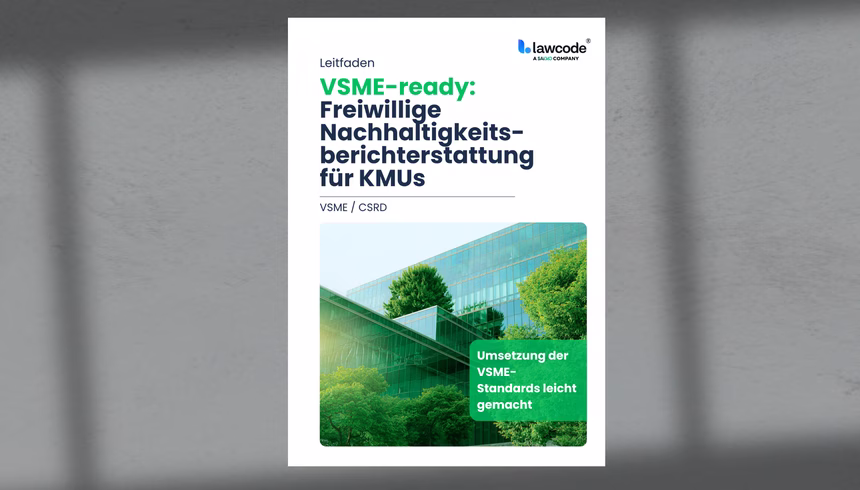 VSME: Voluntary sustainability reporting for SMEs