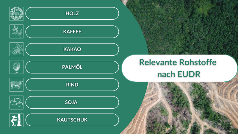 Rohstoffe nach EU Deforestation Regulation