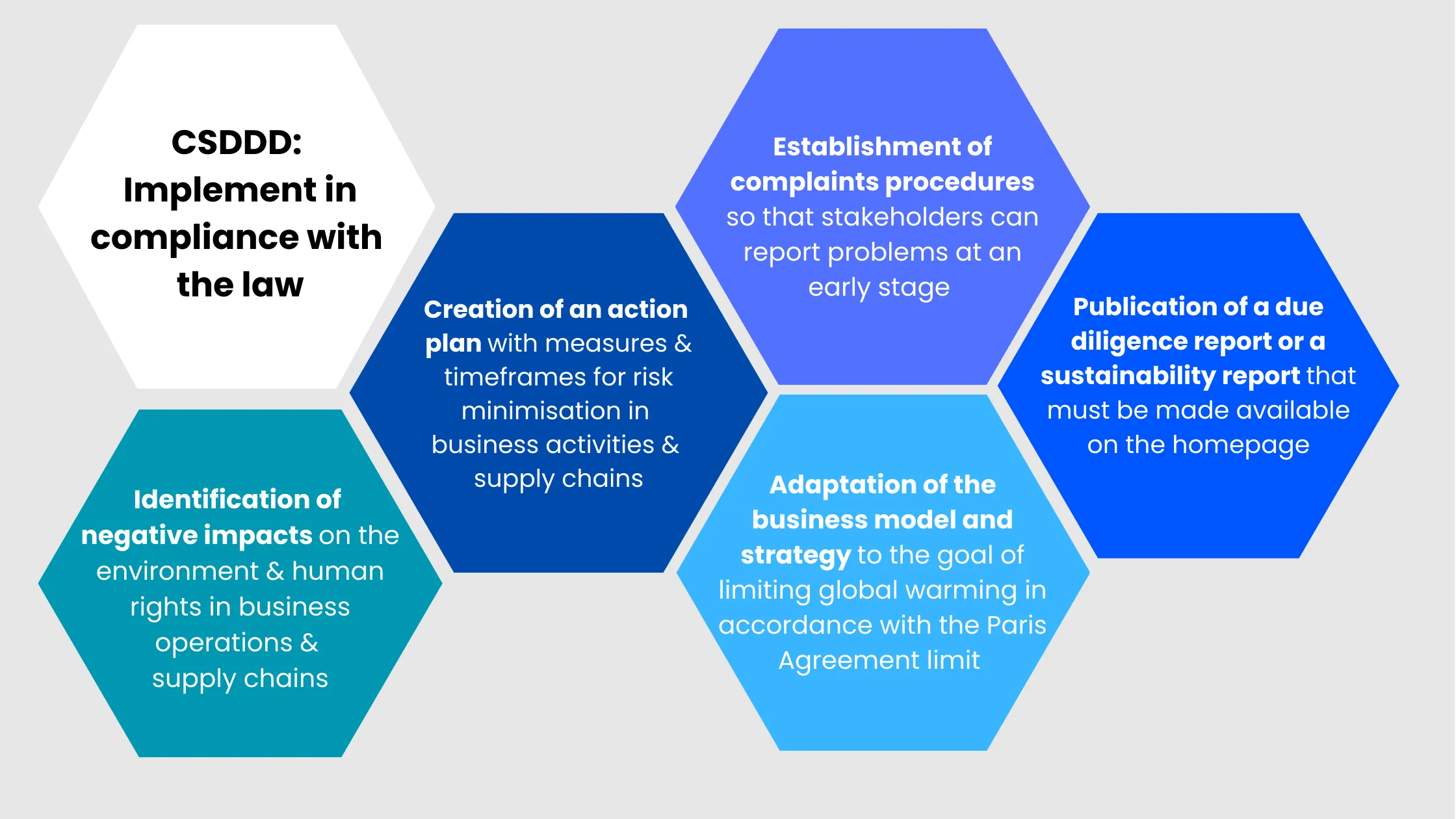 corporate sustainability due diligencde directive