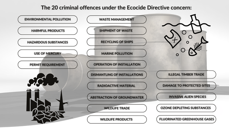 ecocide directive